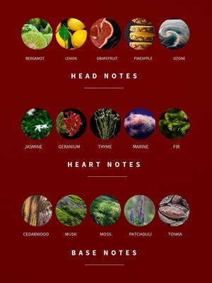 Agua de Perfume Antony Morato Unity MMPF00009 AF130001 999A - Imagen 2