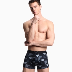 Calzoncillo Microfiber Emporio Armani Eagle Black-Shade EM000232 AF14997 FC072 - Imagen 2