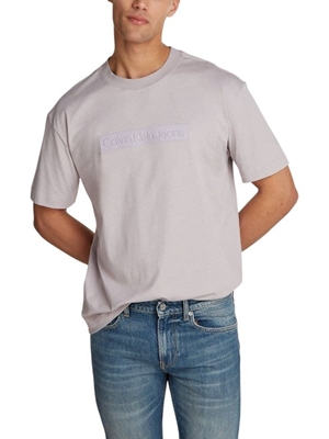 Camiseta Calvin Klein Gull Gray J30J326205 PCR - Imagen 1
