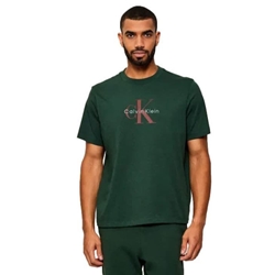 Camiseta Calvin Klein Jeans LV04RB862G LLG Sycamore - Imagen 1