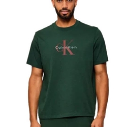 Camiseta Calvin Klein Jeans LV04RB862G LLG Sycamore - Imagen 1