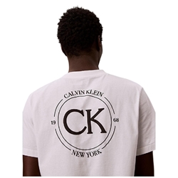 Camiseta CALVIN KLEIN JEANS LV04RE825G YAF BRIGHT WHITE - Imagen 2
