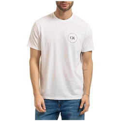 Camiseta CALVIN KLEIN JEANS LV04RF801G YAF bright white - Imagen 1