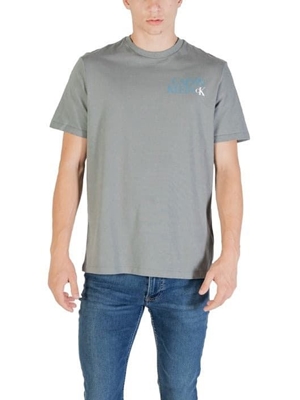 Camiseta Calvin Klein Jeans Sedona Sage LV0ERC844G RMG - Imagen 1