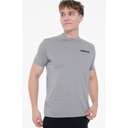 Camiseta Calvin Klein Jeans Steeple Gray LV04RC846G PFP - Imagen 1