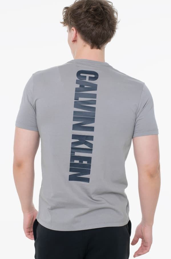 Camiseta Calvin Klein Jeans Steeple Gray LV04RC846G PFP - Imagen 2