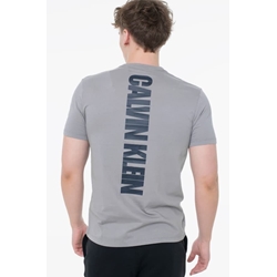 Camiseta Calvin Klein Jeans Steeple Gray LV04RC846G PFP - Imagen 2