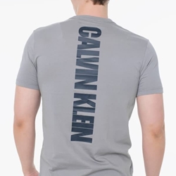 Camiseta Calvin Klein Jeans Steeple Gray LV04RC846G PFP - Imagen 2