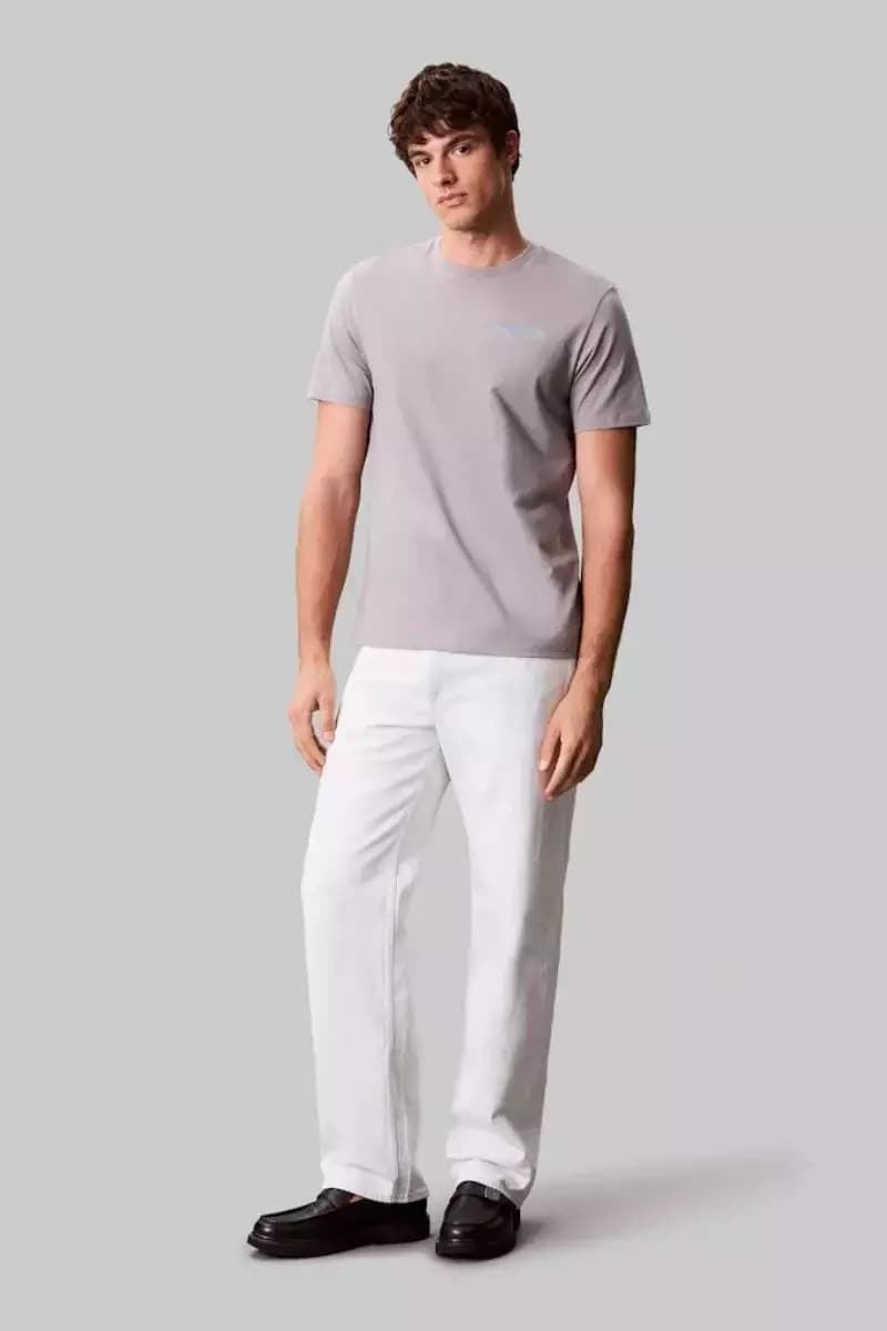 Camiseta Calvin Klein Jeans Steeple Gray LV04RC846G PFP - Imagen 3