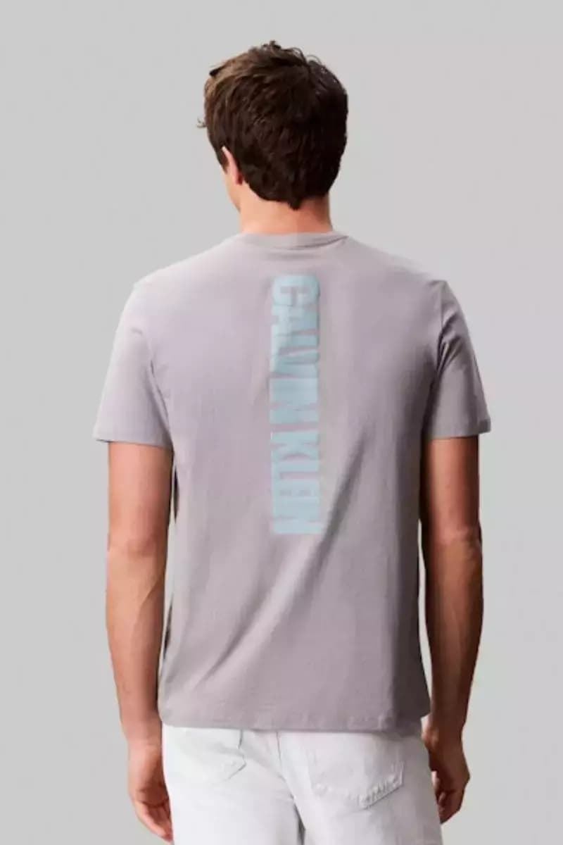 Camiseta Calvin Klein Jeans Steeple Gray LV04RC846G PFP - Imagen 4