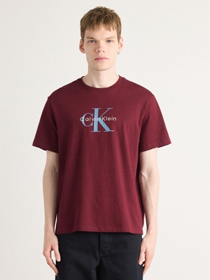 Camiseta Calvin Klein Moroccan Brown LV04RB862G GR9 - Imagen 1