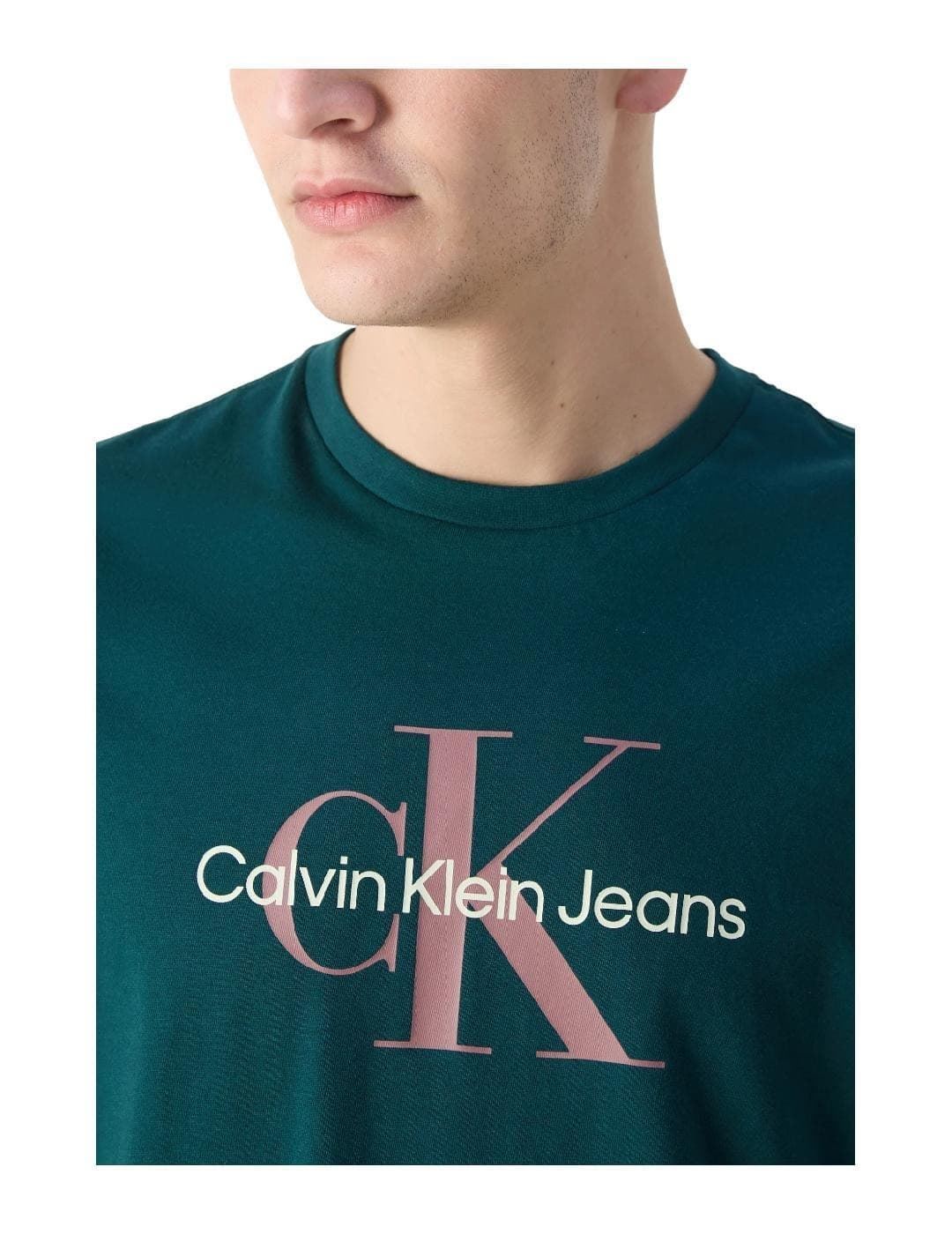 Camiseta Calvin Klein Ponderosa Pine (Verde) 00040EM286 2DK - Imagen 3