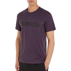 Camiseta Calvin Klein S/S Crew Neck 000NM1959E VE5 Mysterioso - Imagen 1