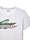 Camiseta Lacoste TH5156 00 CCA gris - Imagen 2