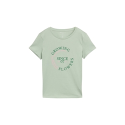 Camiseta Tom Tailor Printed basic Fresh Mint 1045423 13632 - Imagen 1