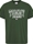 Camiseta TOMMY JEANS DM0DM16831 L2M collegiate green - Imagen 1