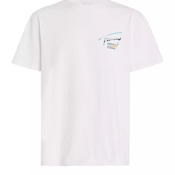 Camiseta TOMMY JEANS DM0DM18283 YBR white - Imagen 1