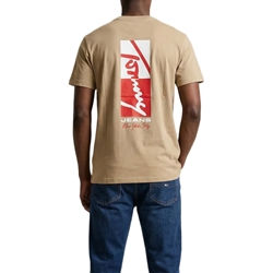 Camiseta TOMMY JEANS DM0DM22532 AB9 gentle gold - Imagen 2