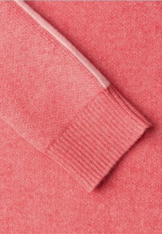 Jersey Street One Turtle Kambodscha 303486 27265 - Imagen 2