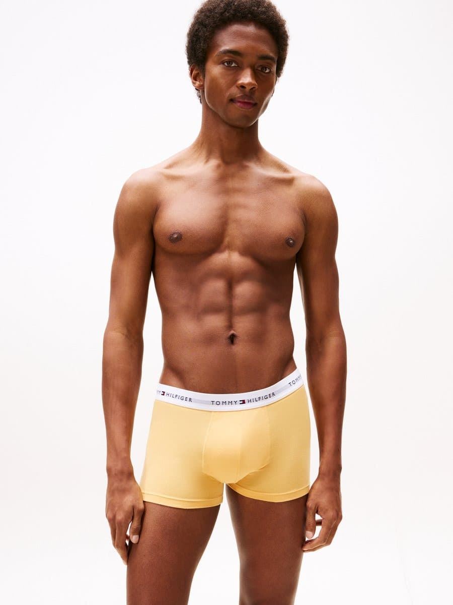 Pack 3 boxer TOMMY HILFIGER UMOUM02761 0SC val orgn/bluspl/util sge - Imagen 4