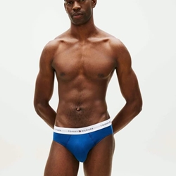 Pack 3 Calzoncillos Tommy Hilfiger Blk/Blu Jn/Ag Sea UM0UM03875 0SC - Imagen 2