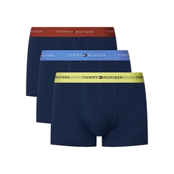Pack 3 Calzoncillos Tommy Hilfiger Blue/Trra/Fded UM0UM03890 06L - Imagen 1