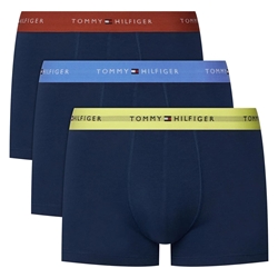 Pack 3 Calzoncillos Tommy Hilfiger Blue/Trra/Fded UM0UM03890 06L - Imagen 1