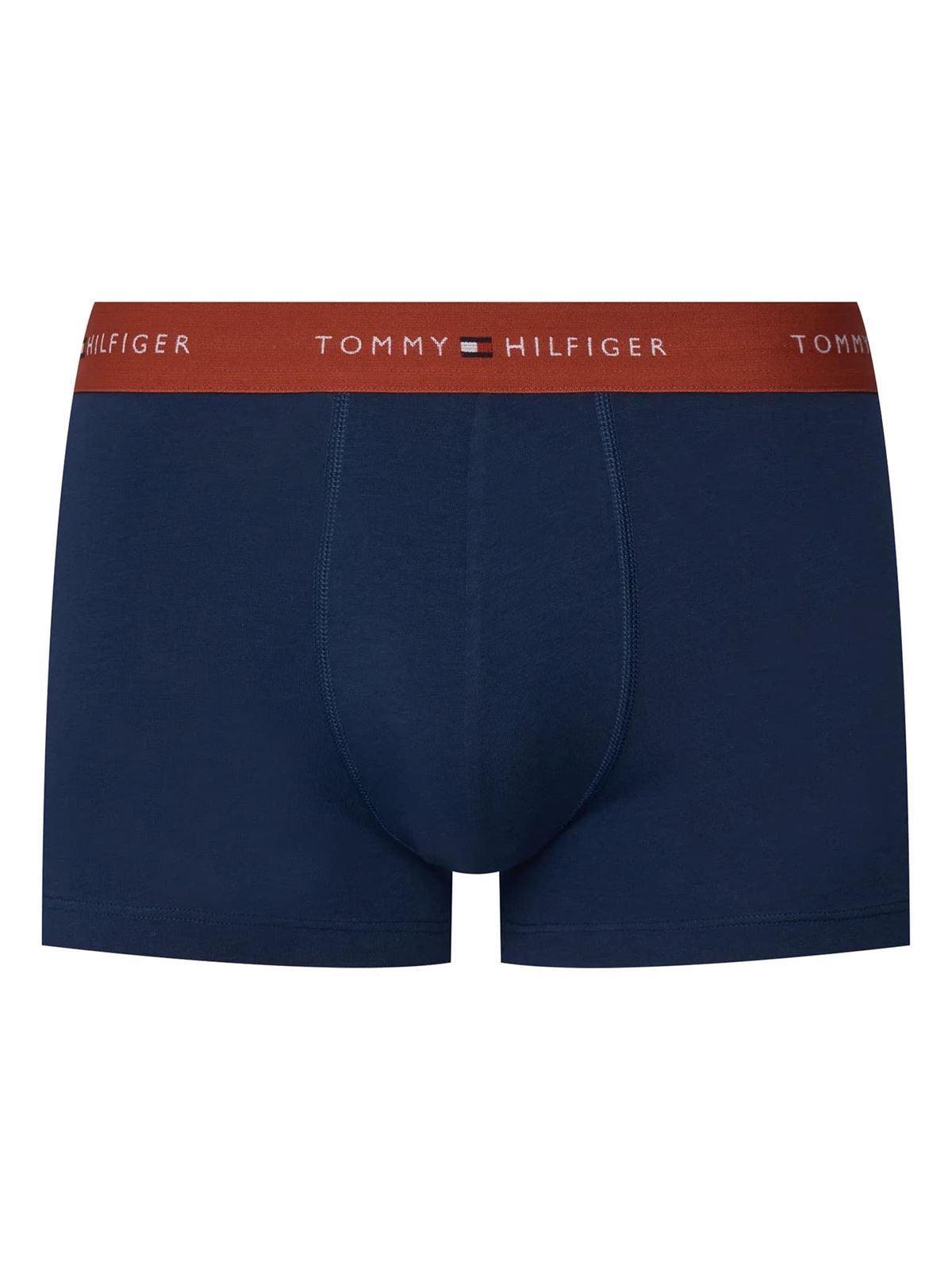 Pack 3 Calzoncillos Tommy Hilfiger Blue/Trra/Fded UM0UM03890 06L - Imagen 4