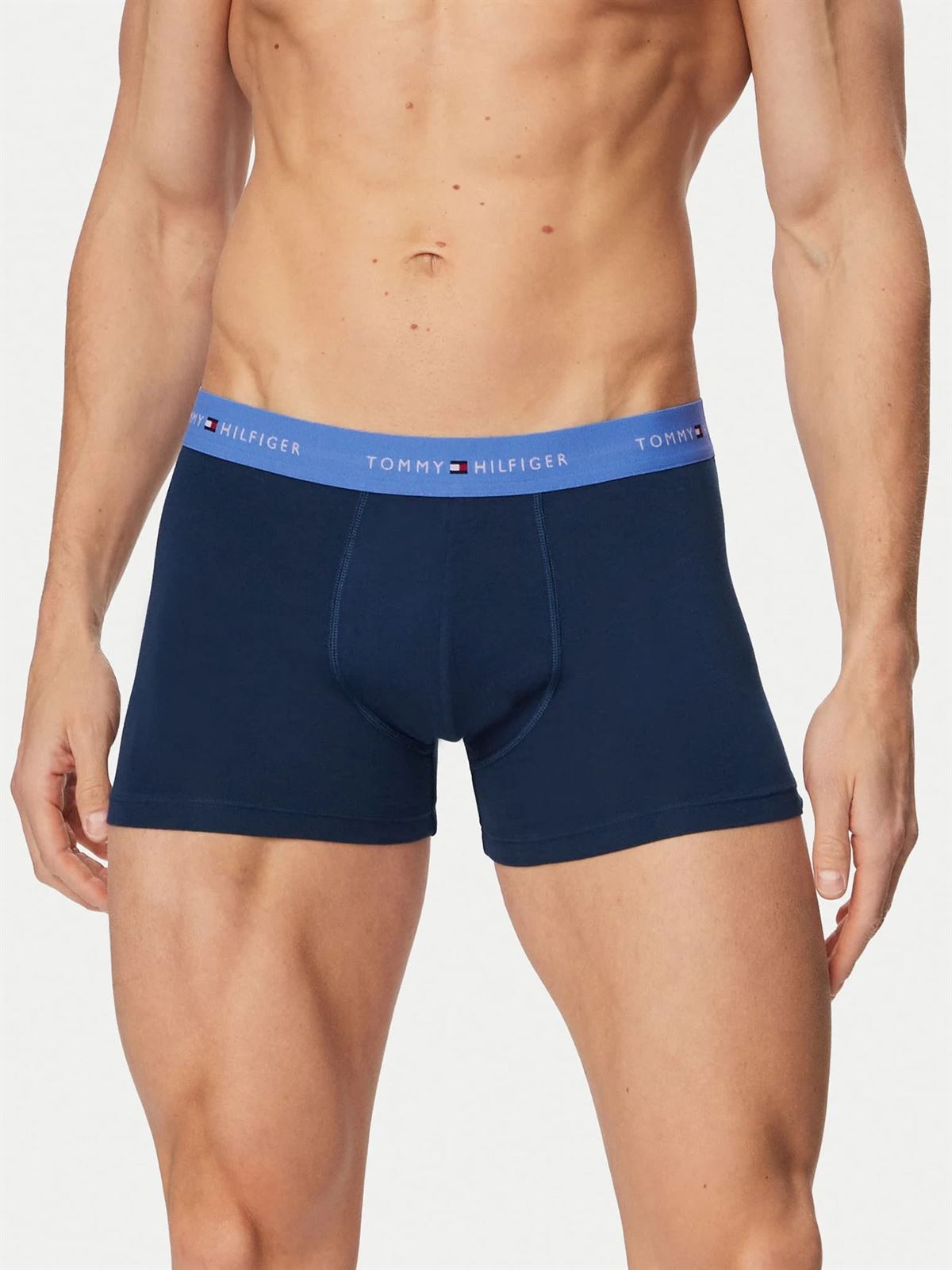 Pack 3 Calzoncillos Tommy Hilfiger Blue/Trra/Fded UM0UM03890 06L - Imagen 5