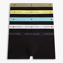 Pack 5 Calzoncillos Boxer Tommy Hilfiger UM0UM03893 0VY - Imagen 1