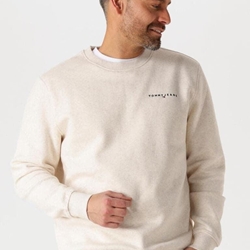 Sudadera Beige Tommy Jeans Reg Linear Crew Ext - Imagen 1