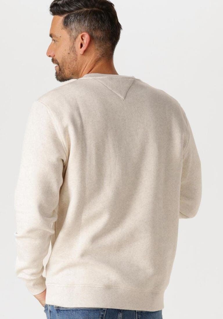 Sudadera Beige Tommy Jeans Reg Linear Crew Ext - Imagen 3