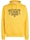 Sudadera con capucha TOMMY JEANS DM0DM16792 ZGQ star fruit yellow - Imagen 1