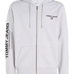Sudadera con capucha TOMMY JEANS DM0DM17783 PJ4 Silver grey - Imagen 1