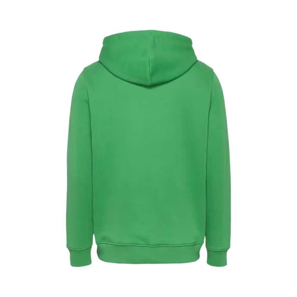 Sudadera con capucha Tommy Jeans DM0DM20258 LY3 coastal green - Imagen 2