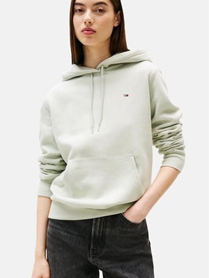 Sudadera con capucha Tommy Jeans Misty Sage DW0DW19958 M1C - Imagen 1