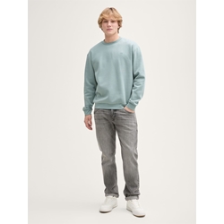 Sudadera Tom Tailor Crewneck Sweatshirt 1045957 21559 - Imagen 1