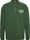 Sudadera TOMMY JEANS DM0DM167936 L2M collegiate green - Imagen 1