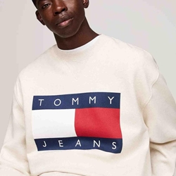 Sudadera Tommy Jeans DM0DM19756 YBH ancient white melange - Imagen 2