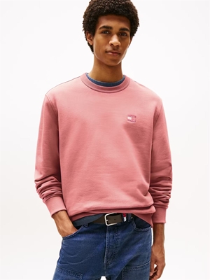 Sudadera Tommy Jeans Tahity Berry Tonal DM0DM20660 TI0 - Imagen 1